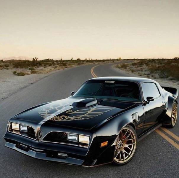 Muscle Cars Look So Menacing