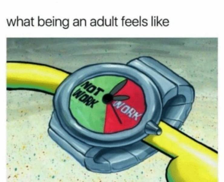 Where Can We Find An Adulting Trainer?