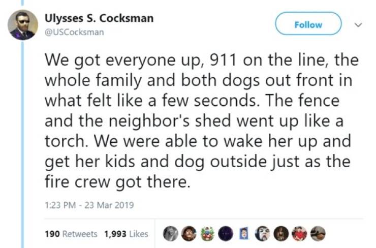 Dogs Are The Real Heroes