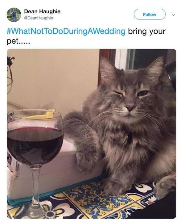 Don’t Do This During A Wedding