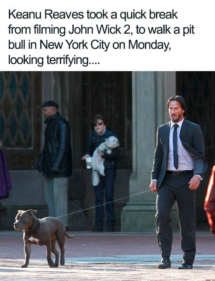 There Are So Many Reasons To Love Keanu Reeves! There Are So Many Reasons To Love Keanu Reeves!