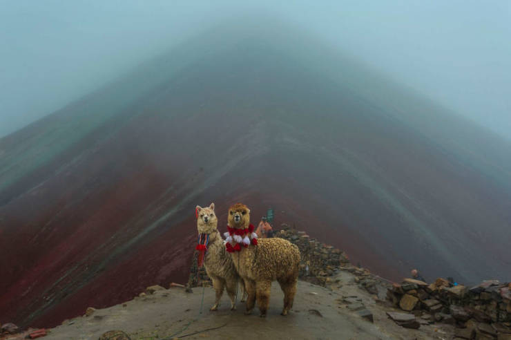 As National Geographic Travel Photo Contest 2019 Comes To An End, Let’s Take A Look At This Year’s Winners