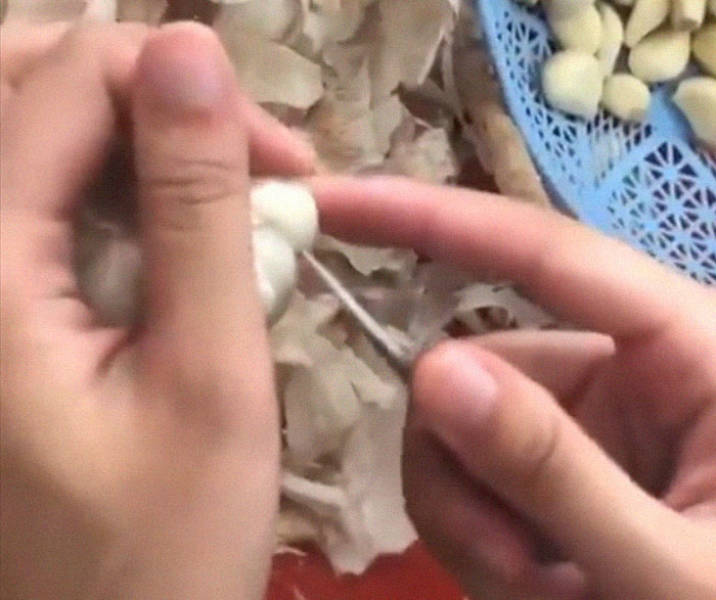 So THAT’S How Garlic Peeling Works?!