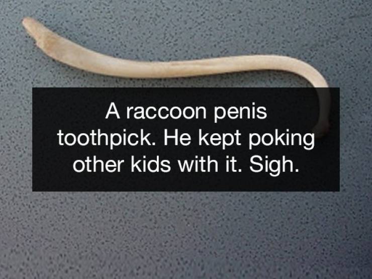 Teachers Confiscate Some Very Weird Things…
