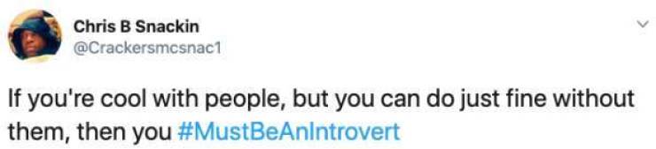 That Must Be An Introvert