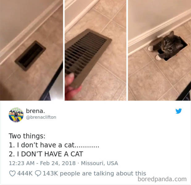 Funny Cat Tweets Are Purring Over