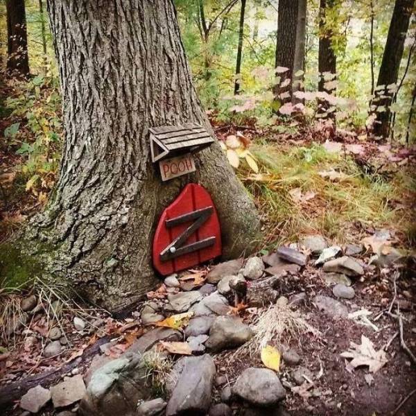 You Can Find Anything In The Woods