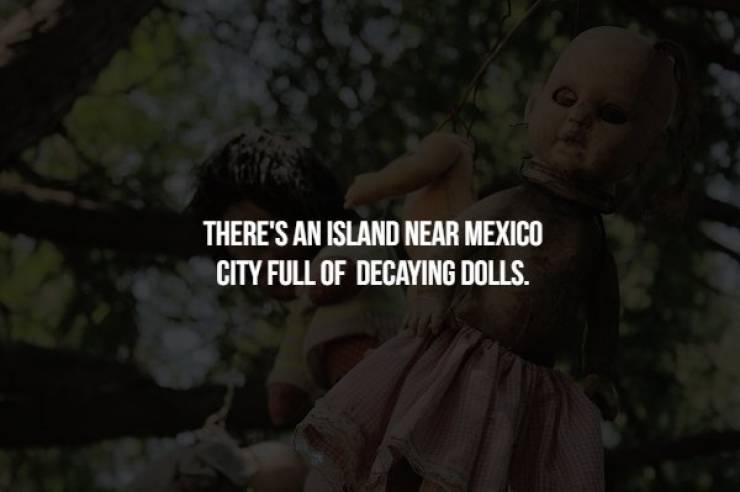 Creepy Facts To Start Your Week Right