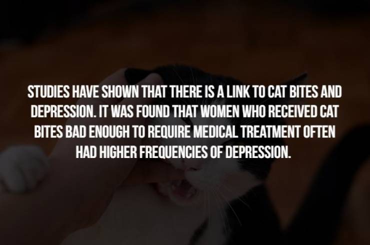 Creepy Facts To Start Your Week Right