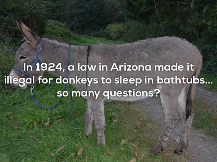 You Don’t Even Need These Interesting Facts