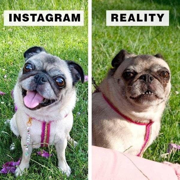 Instagrammer Shows How Far Instagram Is From Reality