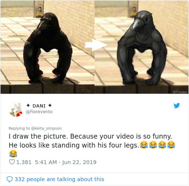 Internet Finds A “Gorilla Crow”, Scientists Explain What It Really Is