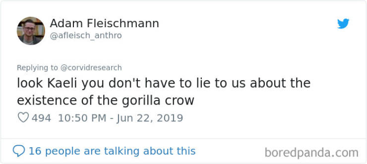 Internet Finds A “Gorilla Crow”, Scientists Explain What It Really Is