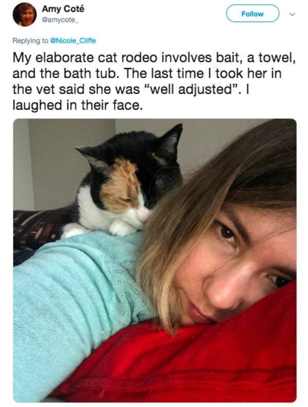 Cats Are Not Always Nice And Gentle