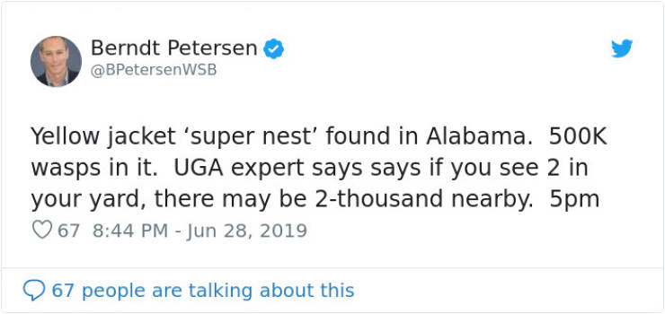 Looks Like Wasps Are Preparing To Conquer Alabama