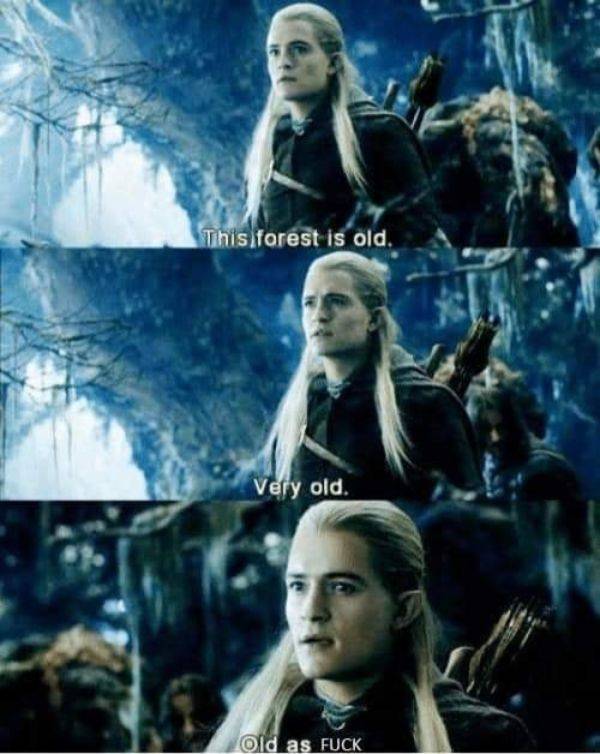 One Does Not Simply Skip The Post With “Lord Of The Rings” Pics