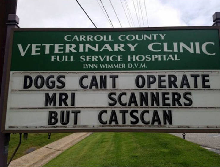 Vet Clinics Know How To Use Cat Jokes To Attract Customers
