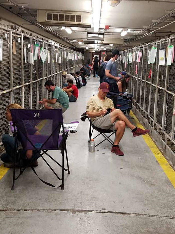 4th Of July Is Not Exactly A Holiday For Shelter Dogs, And Humans Were There To Fix It
