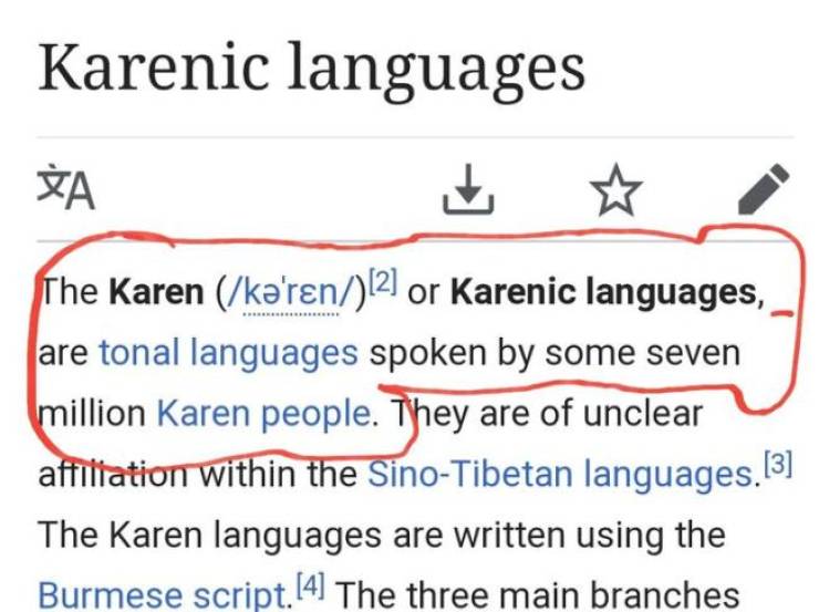 Oh No, Not Karen Again!