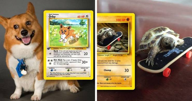 This Artist Can Turn Your Pet Into A Pokemon