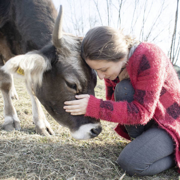Cows Make For Great Pets, Not Meat!