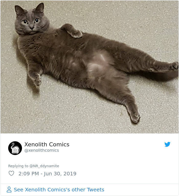 Send Nudes? No, Thanks, Send Cute Cats Instead
