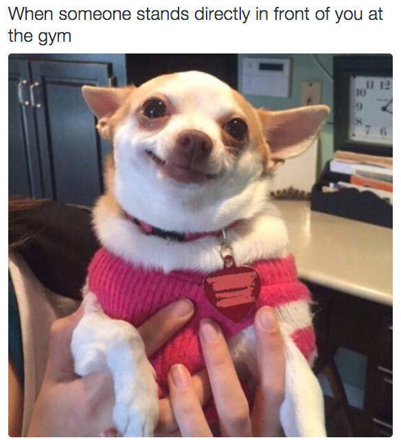 Work Out With These Gym Memes