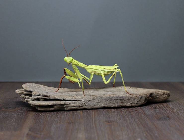 Artist Creates Hyper-Realistic Sculptures Out Of Simple Paper