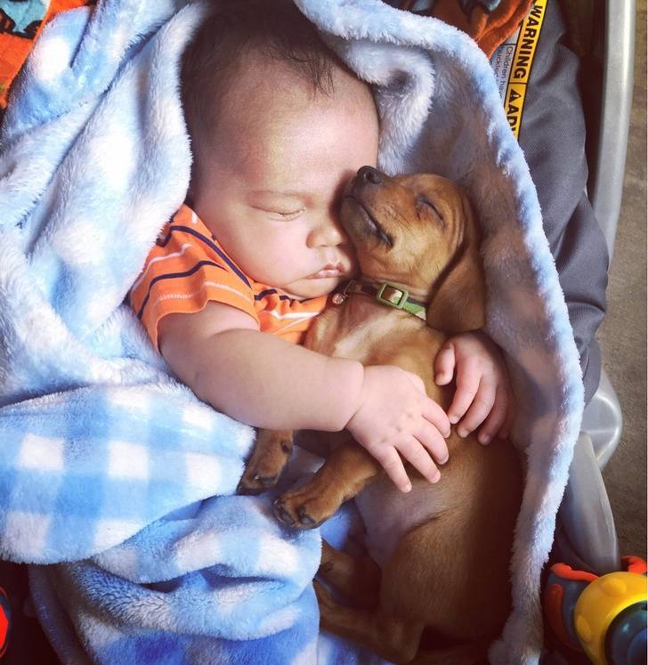 Kids And Animals Will Always Be Together