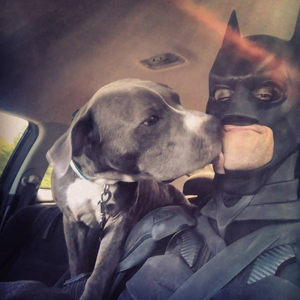 Este Batman é um herói que salva animais de abrigo da eutanásia