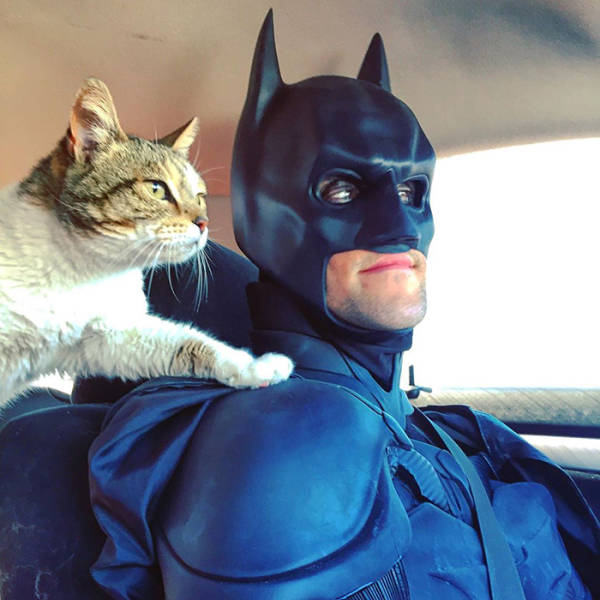 Este Batman é um herói que salva animais de abrigo da eutanásia