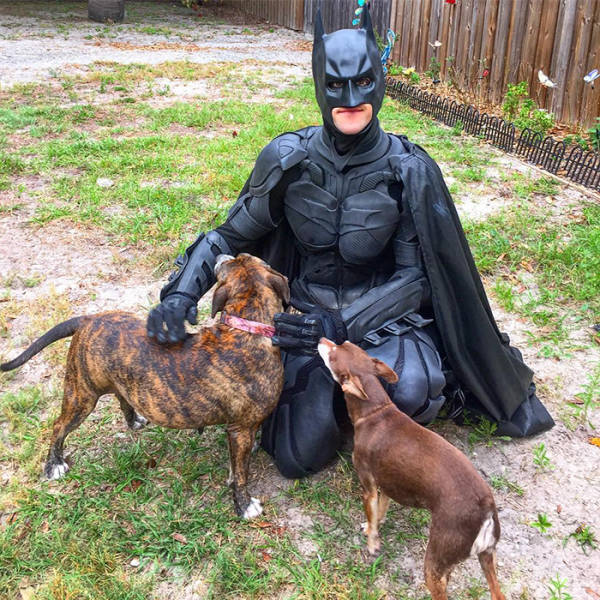 Este Batman é um herói que salva animais de abrigo da eutanásia