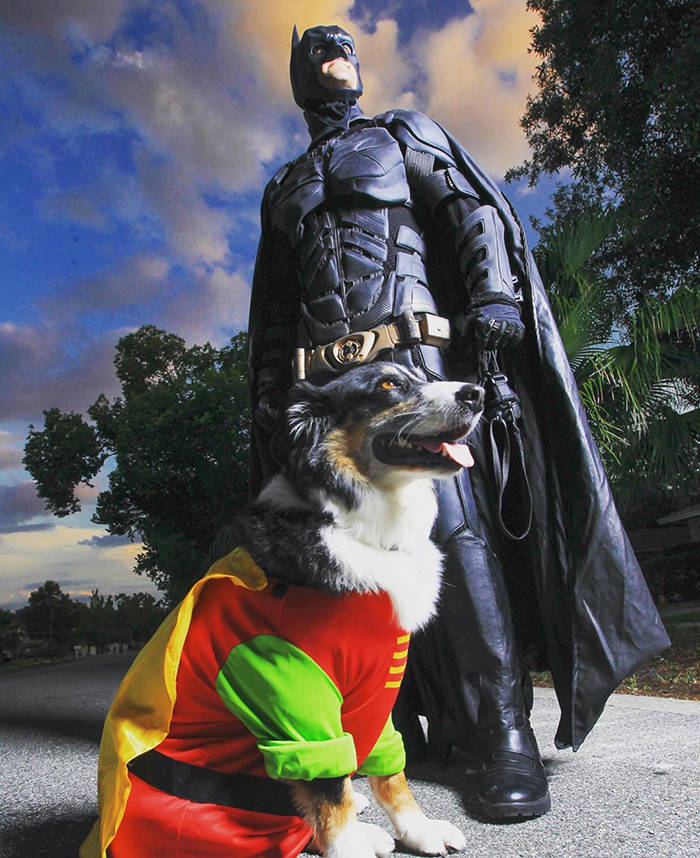 Este Batman é um herói que salva animais de abrigo da eutanásia