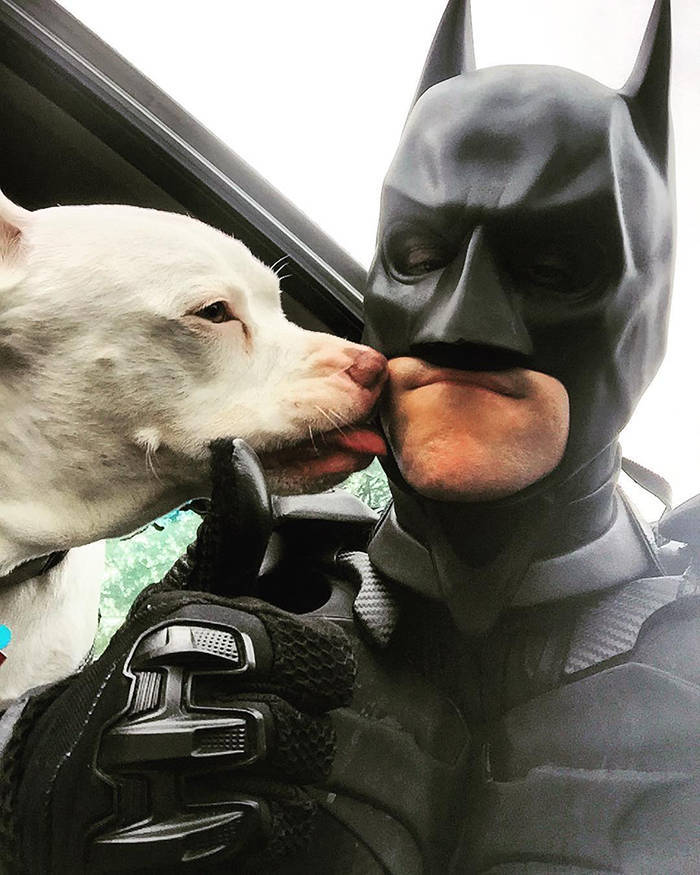 Este Batman é um herói que salva animais de abrigo da eutanásia