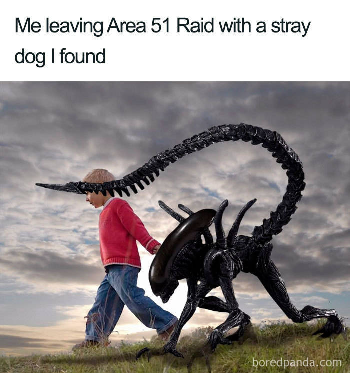 Best Memes About That Notorious “Area 51” Raid (30 pics) - Izismile.com