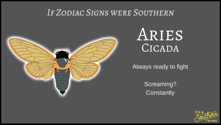 If Zodiac Signs Were Southern