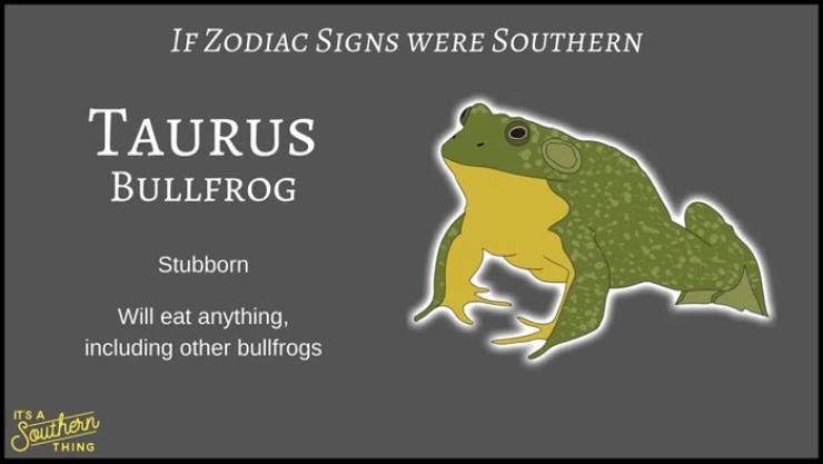 If Zodiac Signs Were Southern