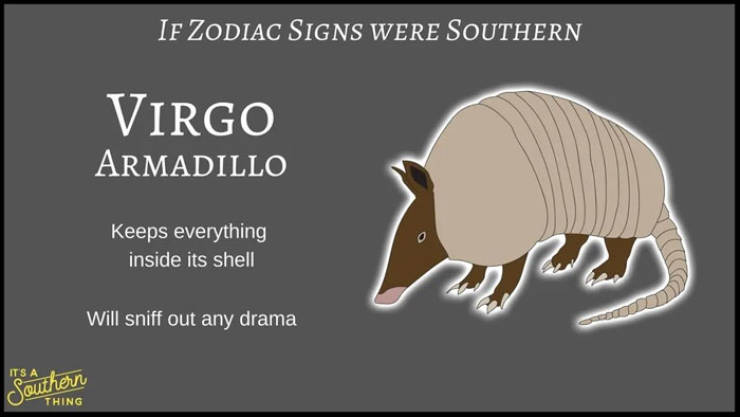 If Zodiac Signs Were Southern