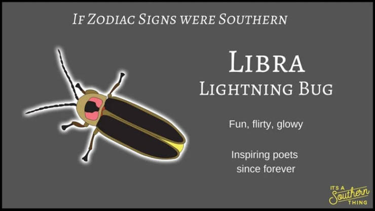 If Zodiac Signs Were Southern