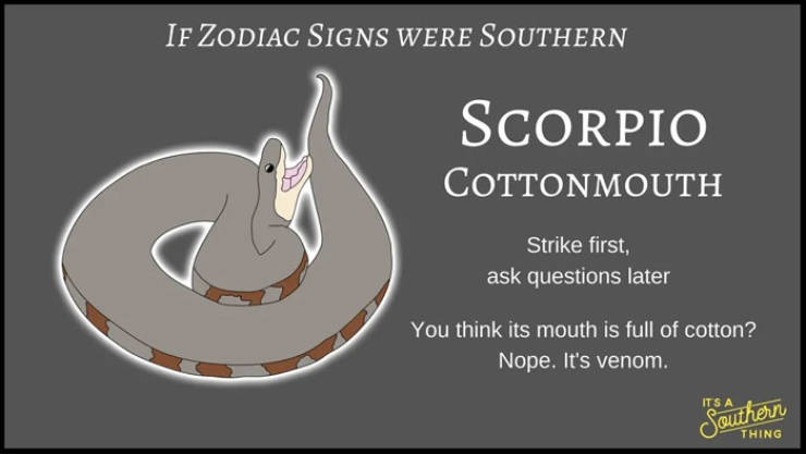 If Zodiac Signs Were Southern