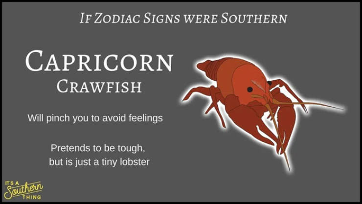 If Zodiac Signs Were Southern