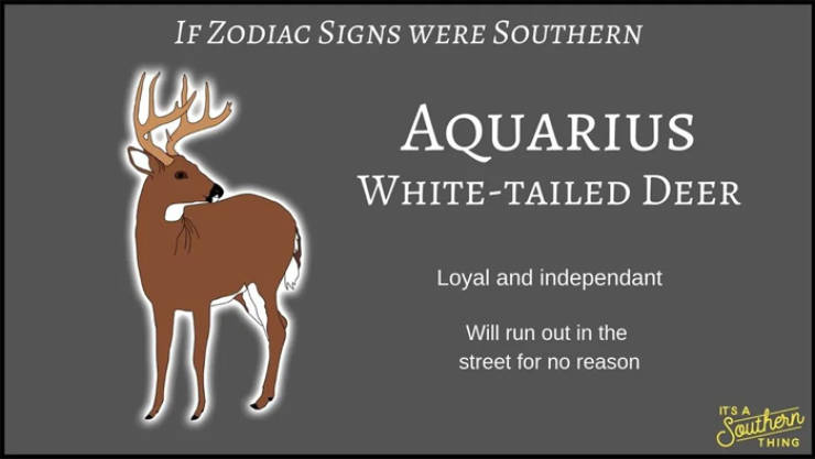 If Zodiac Signs Were Southern