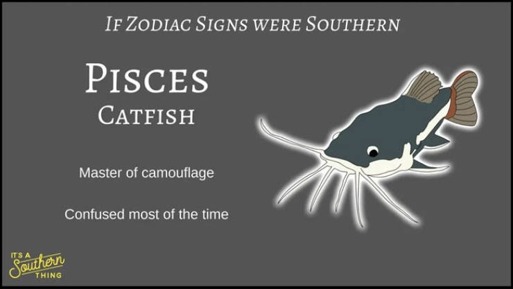 If Zodiac Signs Were Southern