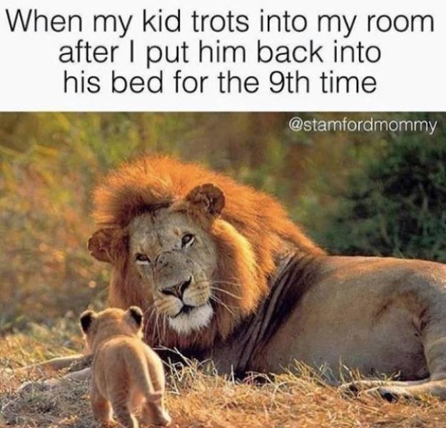Parenting Memes Aren’t Getting Much Sleep Either