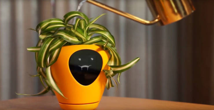 Turn Your Plant Into A Tamagotchi Game
