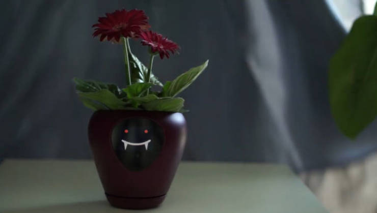 Turn Your Plant Into A Tamagotchi Game