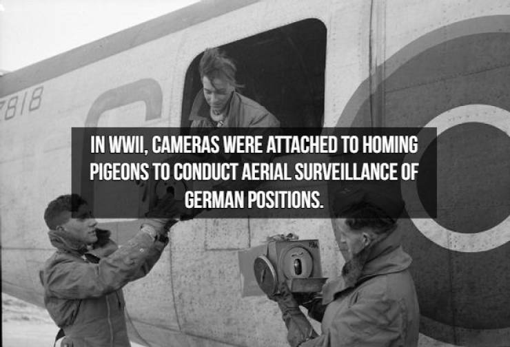 You Will Never See These Spy Facts Coming