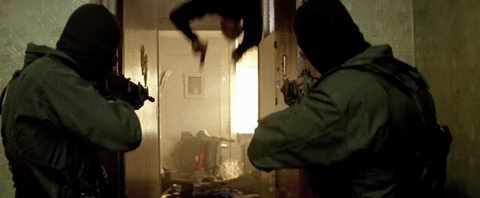 Deadly Facts About “Léon: The Professional” (13 pics + 8 gifs