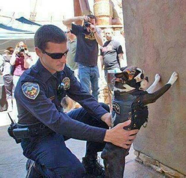 Police Just Wanna Have Fun