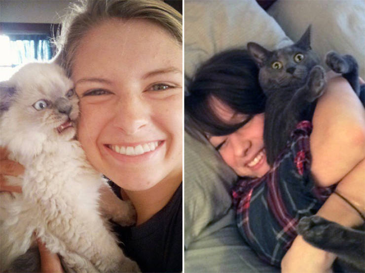 Cats That Don’t Really Want To Cuddle Right Now